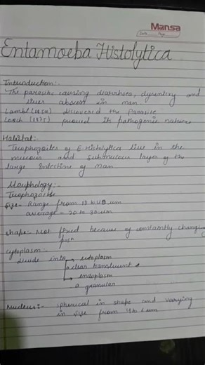 The Mysterious Life Cycle of Entamoeba Histolytica l quick revision