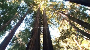 6K views · 324 reactions | Beautiful Swat Valley ❤ Credits : Jehan Sher | Swat Valley | Facebook