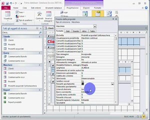 33 Corso di Access in Italiano