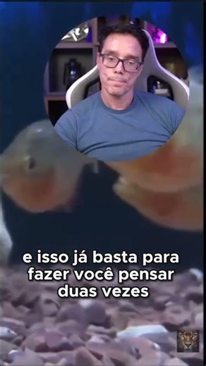 Piranhas Vermelhas_ Os Pequenos Assassinos com Dentes de Dentista Maluco do Amazonas!