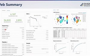 cell ranger结果解读