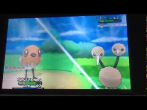 【ポケモンXY】 ヒトカゲ（通常）＆ヤヤコマ(色違い)進化