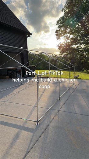 Building a Chicken Coop: Part 1 — DIY Homestead Guide