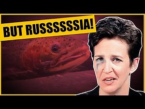 They Absolutely Lost It Major L For MSNBCs Crying Rachel Maddow
