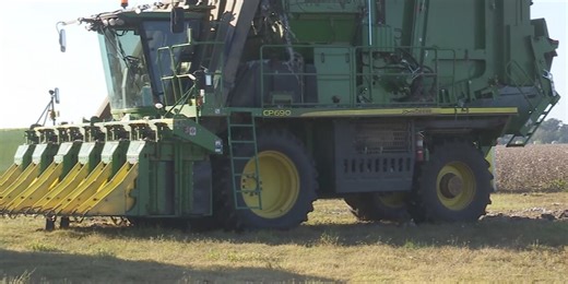 Farmer reflects on harvest day crash, gives warning about road dangers