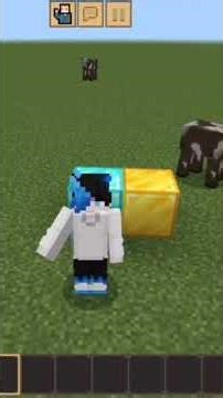 cómo poner la textura de Minecraft java en trastin😉