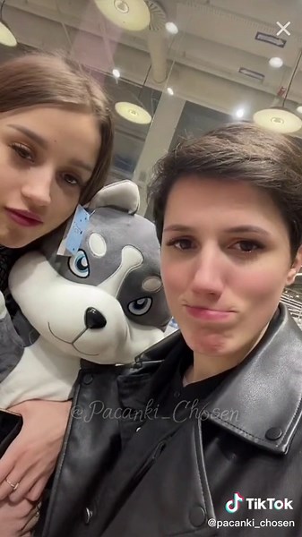 Husky Plush Toy Review and Unboxing Experience