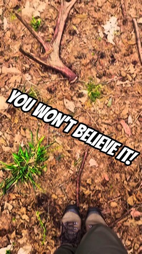 You Won’t Believe what i found! 🤯 Satisfying Forest Walk ASMR