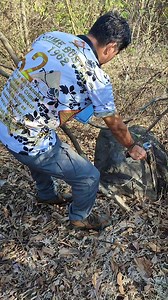 340K views · 4.3K reactions | Gold Flux Conrad Software system Live scanning the other part of stone frog marker | Kanji Kin | Facebook