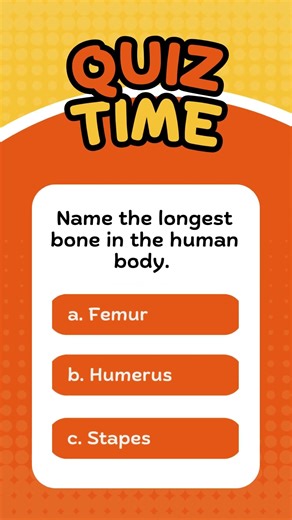 Guess the organ // #quiz #humanbody #organs