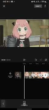 How To Use Bubbles Overlays On CapCut