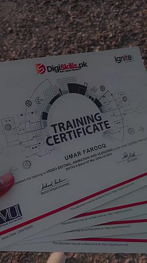 Unlocking DigiSkills: Achievements in Digital Learning
