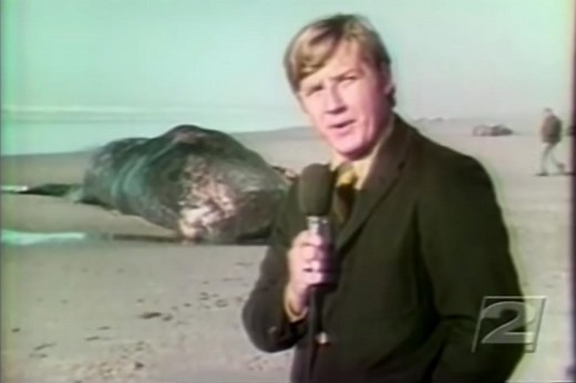Veteran newsman recalls infamous Oregon whale explosion on 50th anniversary