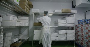 Workers packing boxes of fresh fish in a seafood processing factory