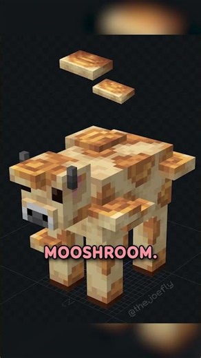 ADD THE SHELF MOOSHROOM...
