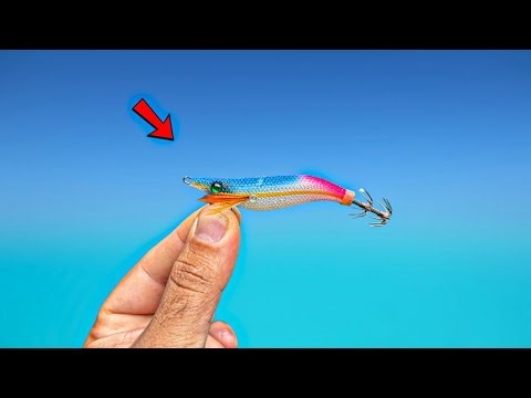 How To Catch Squid In Sydney Harbour!