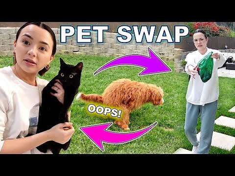Twins Swap Pets for a Day