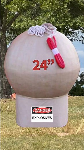 24” FIREWORK SHELL / Pyrotechnics Guild International 2024 #Shorts #Fireworks #PGI