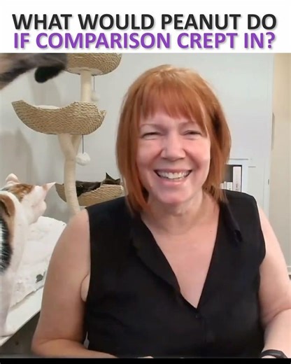 Comparison is distraction dressed as motivation | What Would Peanut Do?