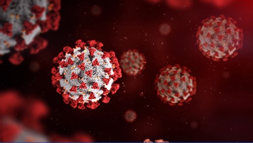 FACT FINDERS: Why do new COVID variants seem to push out previous variants?