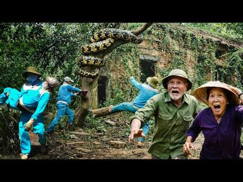 Time-Lapse Horror 😱 Cleaning an Abandoned House… Giant Python Appears — Elderly Couple Escapes!