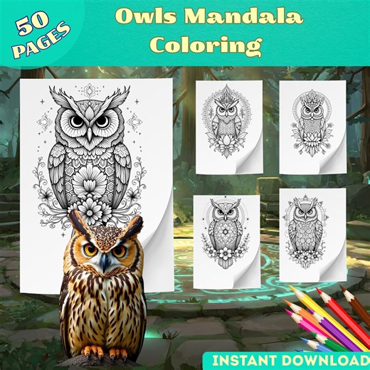 Owl Mandala Coloring Pages: 50 Designs for Teens & Adults, Printable PDF - Etsy