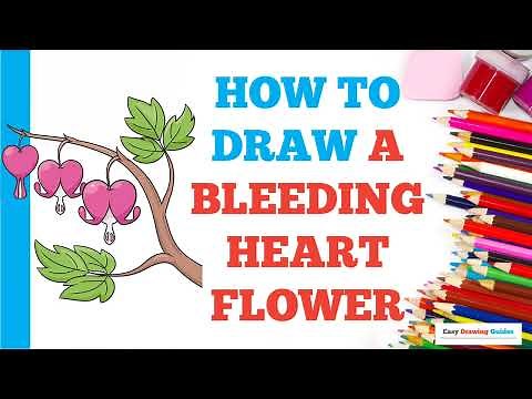 How to Draw a Bleeding Heart Flower: Easy Step by Step Drawing Tutorial for Beginners