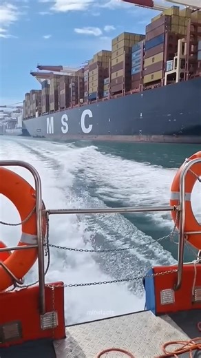 MSC ship in india #sip #facts #shorts