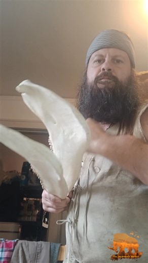 25 reactions · 3 comments | Bone of various sorts from a range of animals have been used for different types of musical instrument for a very long time. In this case I am happy to add the jawbone of a donkey to the musical section. The Ice Age horse was similar in appearance and proportion to the modern donkey, so it will provide a stand-in until I acquire a proper replica. | The Mammoth Hunter | Facebook