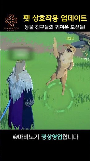 Cute Pet Interaction Update! 🐈 [Mabinogi Mobile]
