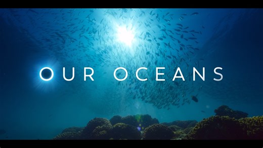 30K views · 162 reactions | Discover the stories just below the surface. Our Oceans, narrated by Barack Obama, comes November 20 to Netflix. | Netflix | Facebook