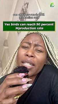 Can chickens really reach 90 percent production rate | The honest truth