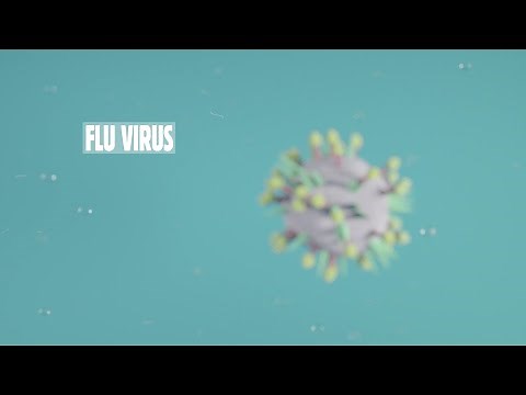 Animation: Why the Flu Virus Changes and Mutates
