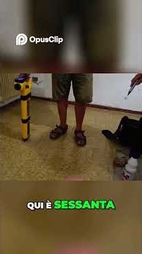 exploration courses georadar gpr search services in construction systems building