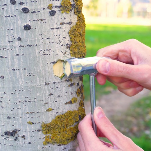 5-Minute Crafts on Reels