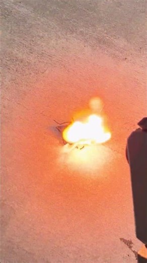 What kind of insect is this? #laser #laser cannon #Insect laser cannon