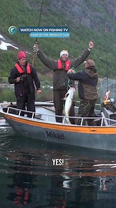 125K views · 1.5K reactions | Catching giant cod from a glacier! -...