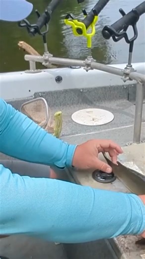 Learning how to handle catfish safely is one of the most important aspects of being an angler. It’s not only important for you, but it’s also important for the fish! Take a look at this video with pro angler Joey Pounders as he explains how to safely handle catfish! https://catfishnow.com/cfn-how-to-video-with-joey-pounders-safely-handling-a-catfish/ #HowTo #CatfishTips #CatfishingTips #HowToHoldaCatfish #CatfishNOW | Catfish NOW