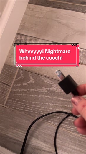 Creepy Encounter: The Spider Saga Continues