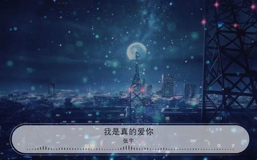 我是真的爱你 - 张宇『让我随你去　让我随你去』【动态歌词Lyrics】