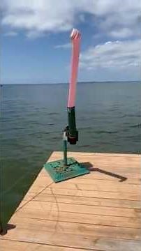 Geese DESTROYED My Dock... Until This Motion Activated Goose Deterrent Worked!