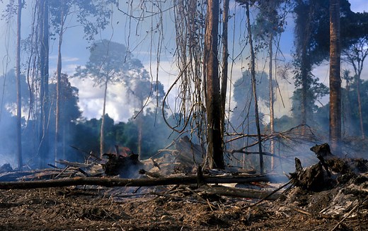 Climate change: Ways farmers can help the environment