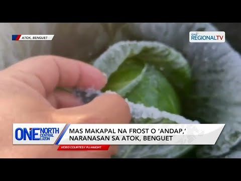 Mas makapal na frost o ‘andap,’ naranasan sa Atok, Benguet | One North Central Luzon