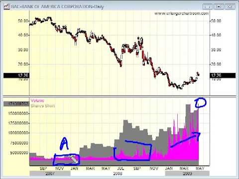 The Meaning of Short Interest Ratios