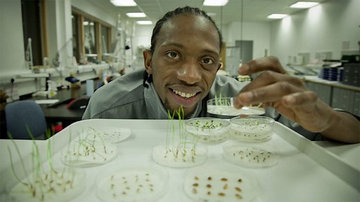 Limiting factors of photosynthesis - Revise: Photosynthesis - National 5 Biology Revision - BBC Bitesize