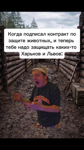 Меллстрой: Мемы и Прикольные Нарезки
