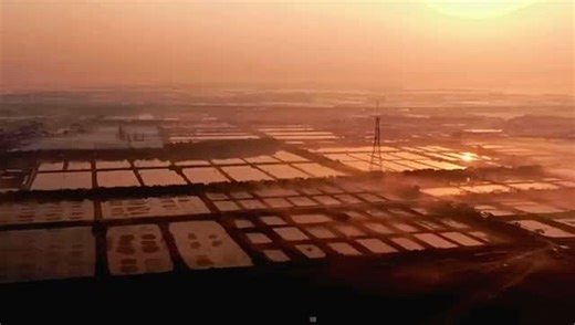 19 reactions | Welcome to SUXIN KOI FARM: where precision, science,...