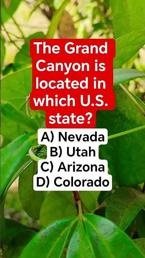 The Grand Canyon is located in which U.S. state?