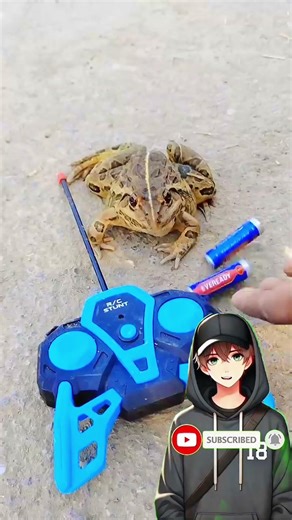 remote control tree frog original fanny 🐸unboxing #Shorts #frog🖤