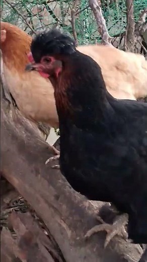 mini Netherite Scrap